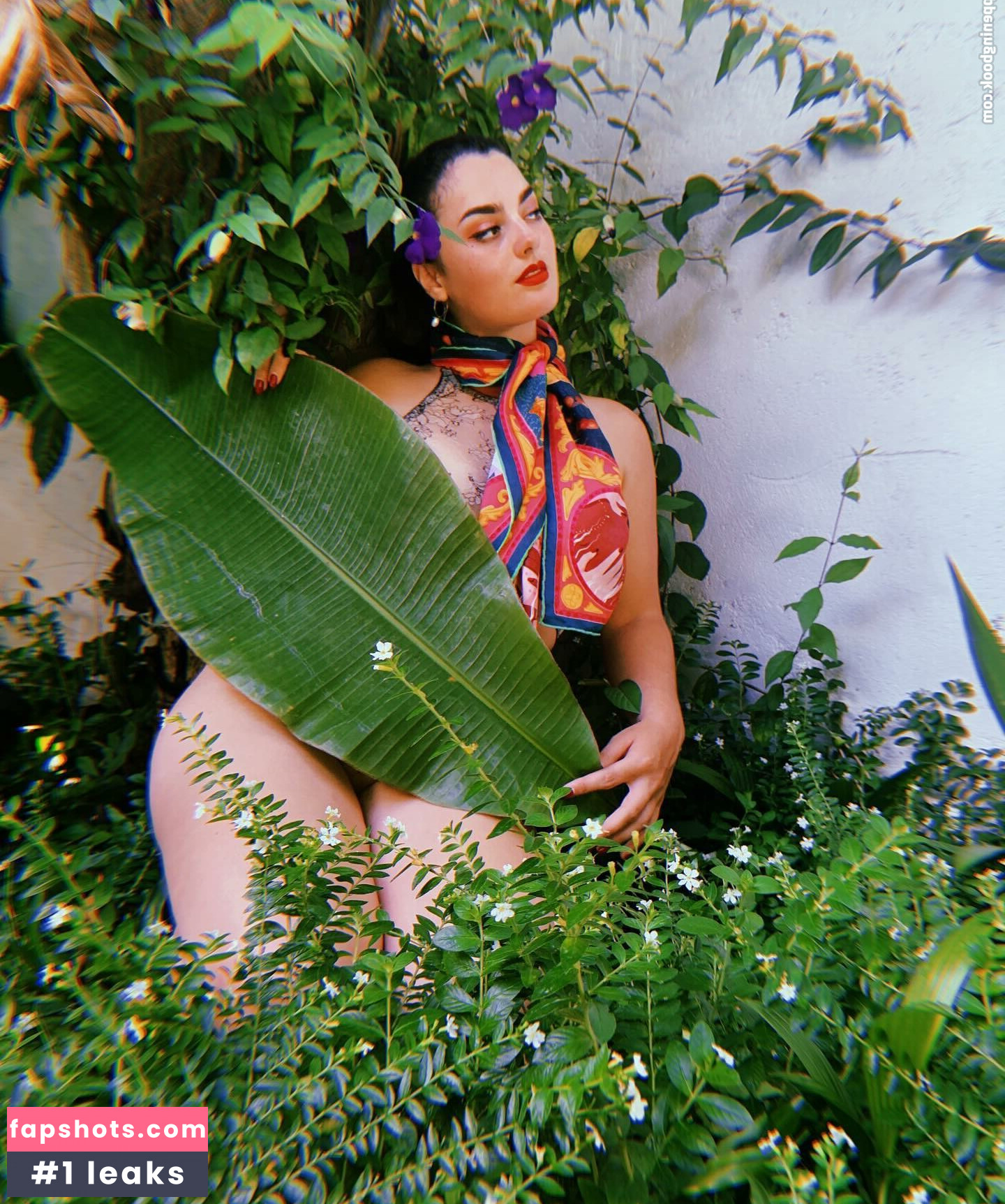 Logandria gallery photo #9