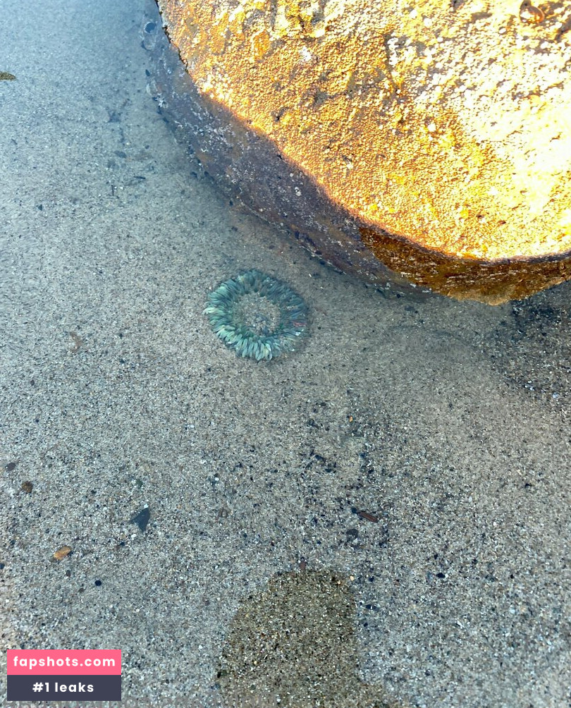 Lola Fae gallery photo #713