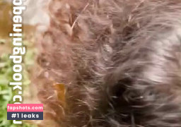 Lolahvibe gallery photo #3