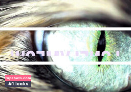 LonelyMeow gallery photo #64