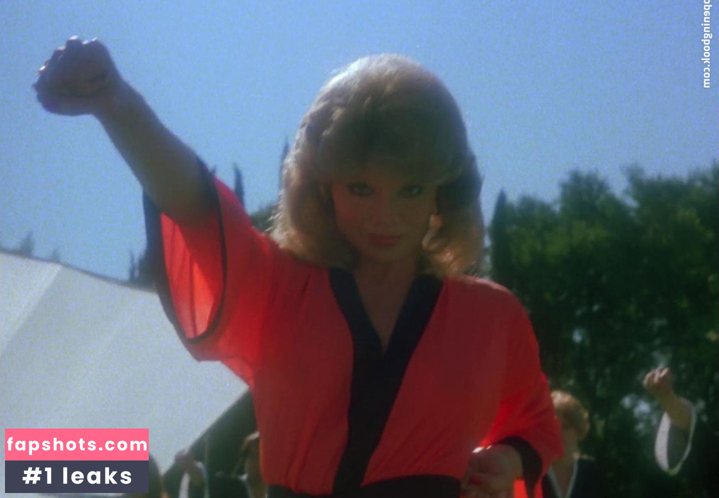 Loni Anderson gallery photo #5