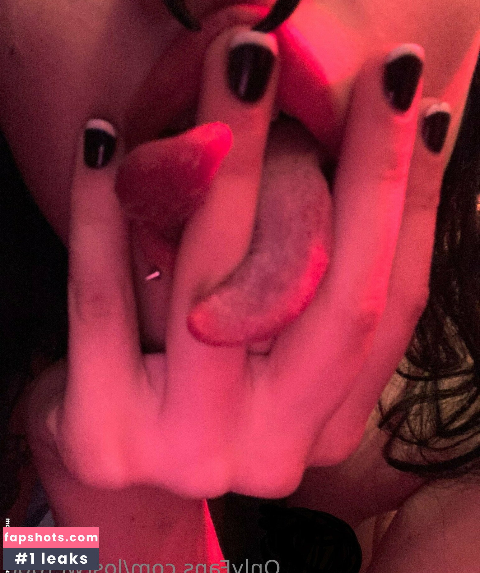 Lostwetdog gallery photo #8