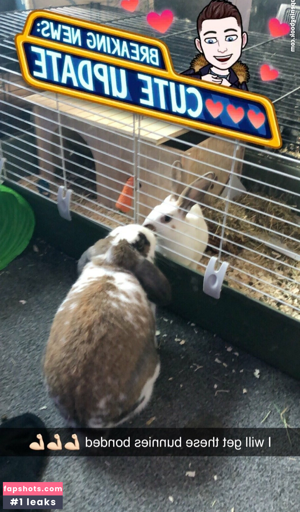 lothianjamie Nude Leaks OnlyFans Photos #12 - LeakJerk