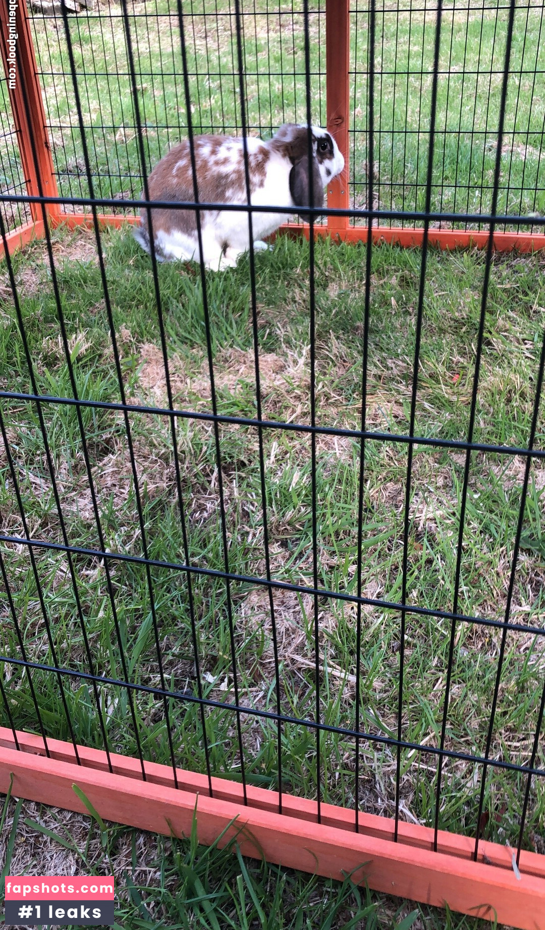 lothianjamie Nude Leaks OnlyFans Photos #17 - LeakJerk