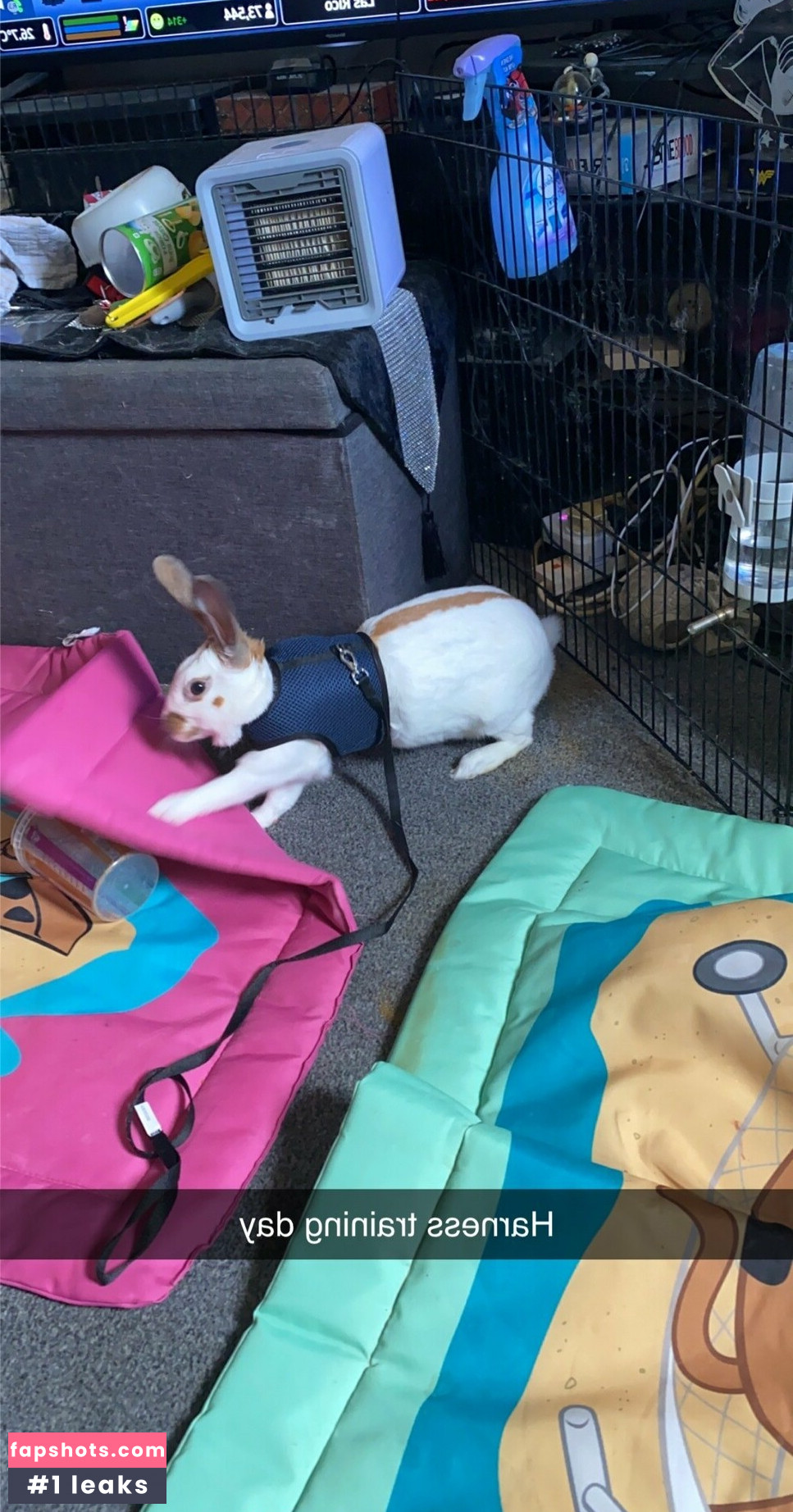 lothianjamie Nude Leaks OnlyFans Photos #20 - LeakJerk