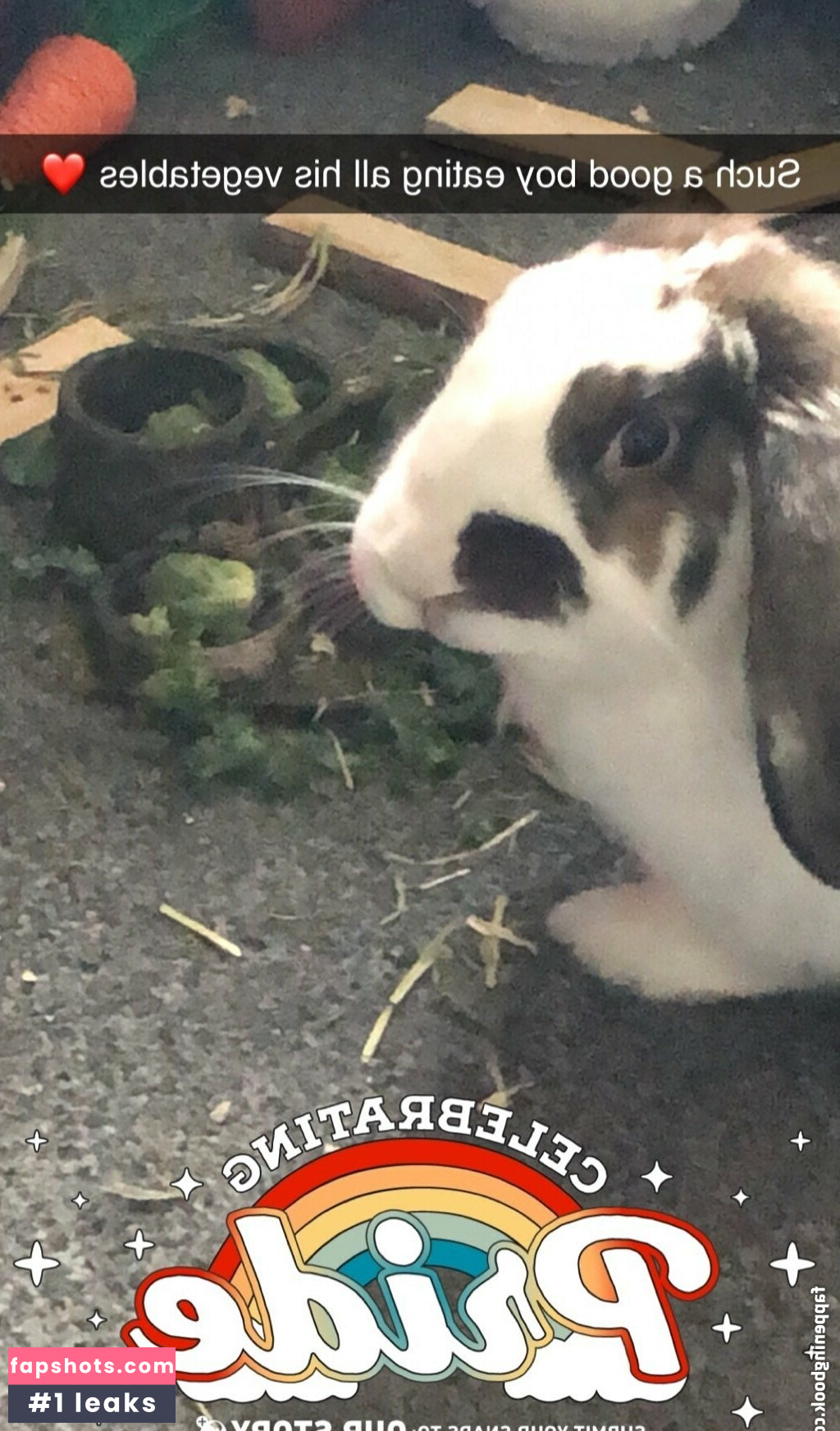 lothianjamie Nude Leaks OnlyFans Photos #3 - LeakJerk