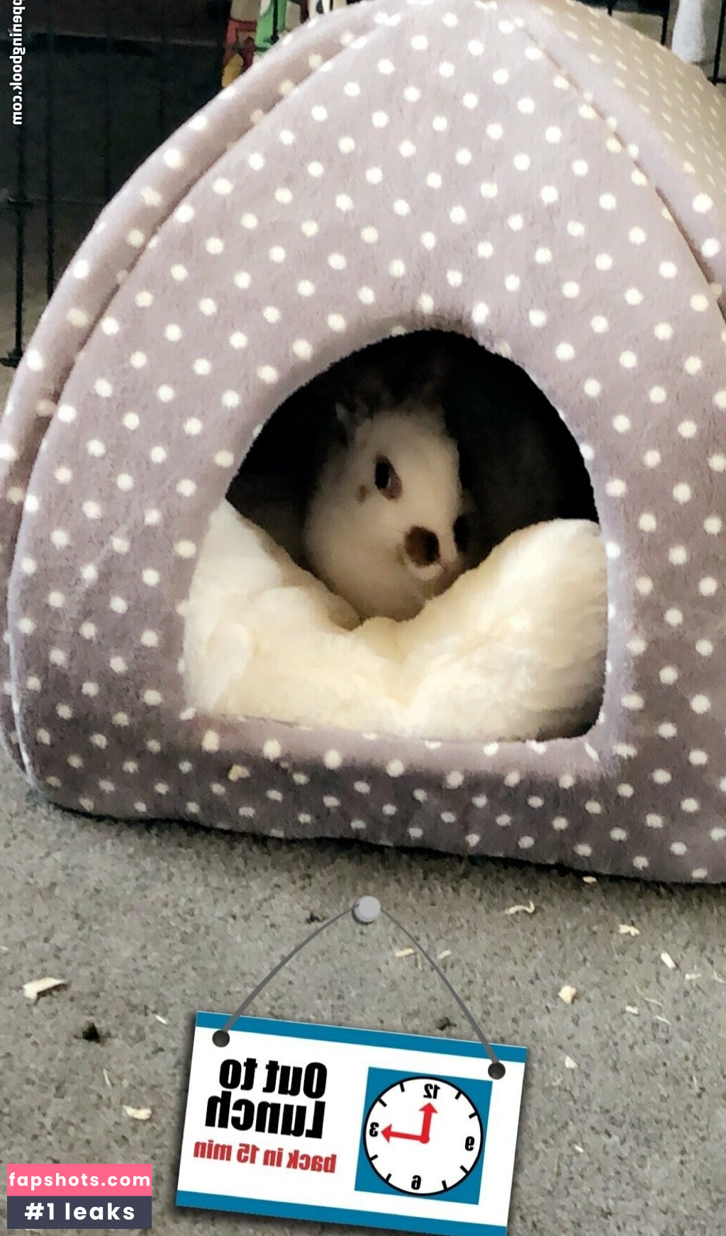 lothianjamie Nude Leaks OnlyFans Photos #25 - LeakJerk