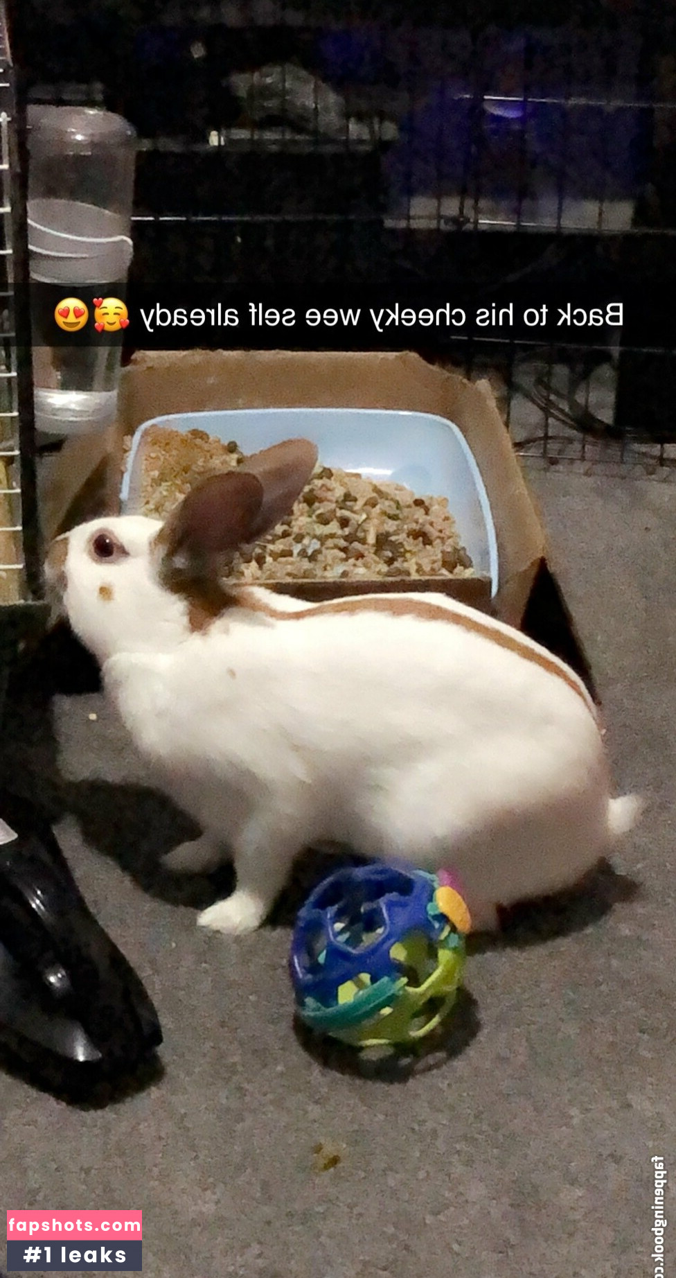 lothianjamie Nude Leaks OnlyFans Photos #4 - LeakJerk