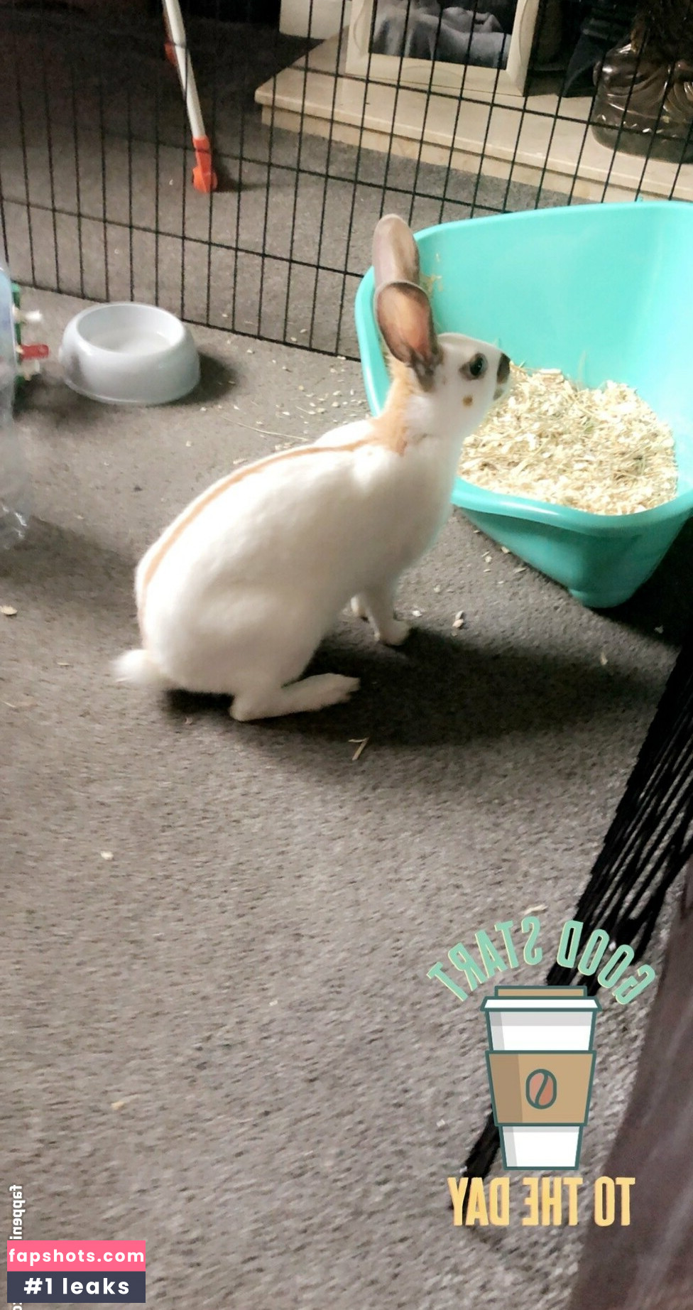 lothianjamie Nude Leaks OnlyFans Photos #5 - LeakJerk