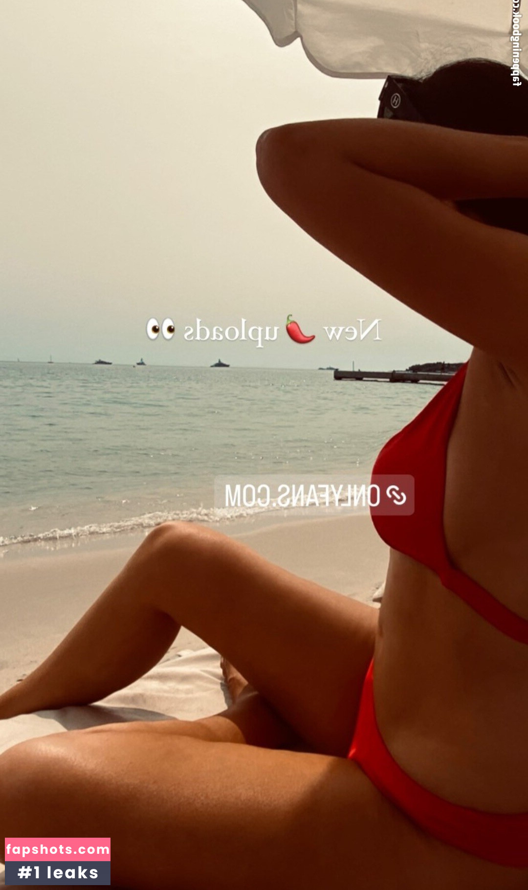 LottieLion gallery photo #12