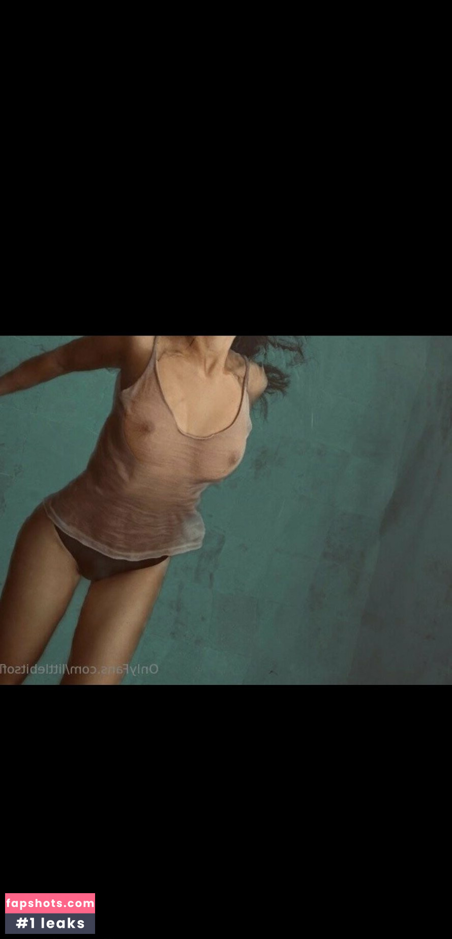 LottieLion gallery photo #18