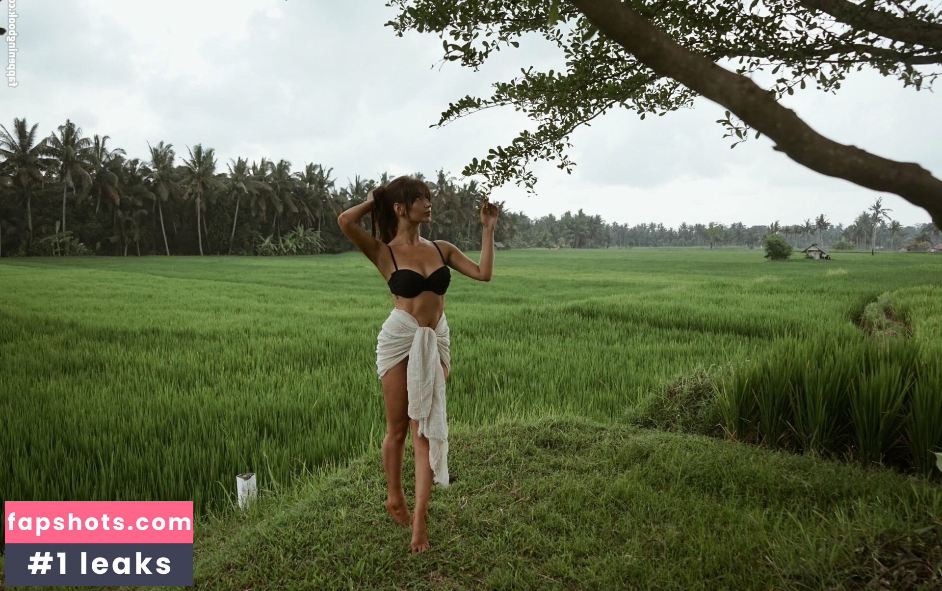 LottieLion gallery photo #29