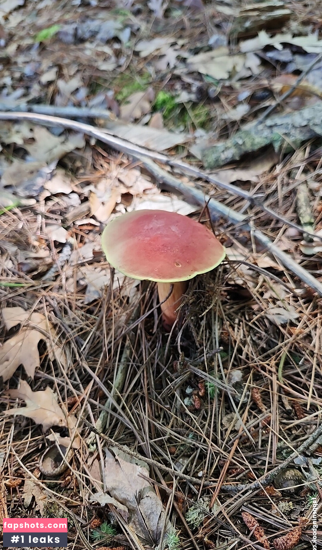 LotusJayne gallery photo #15