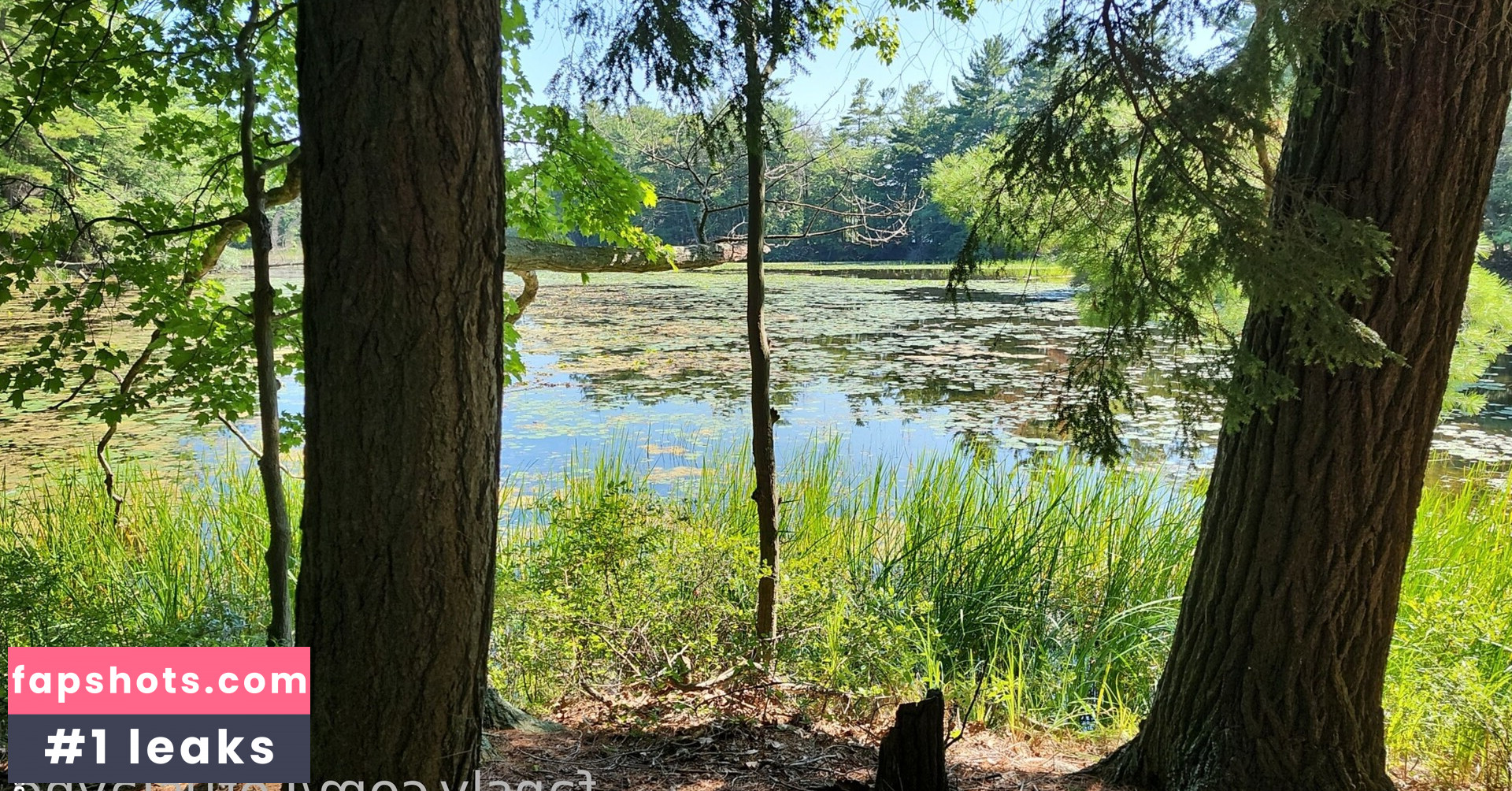 LotusJayne gallery photo #43