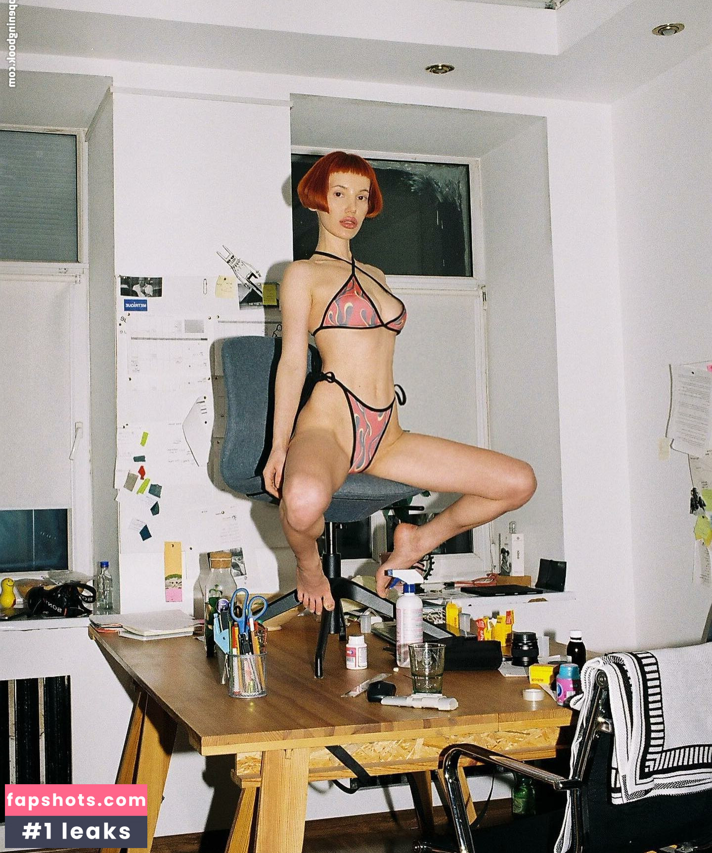 Lotussutra gallery photo #10