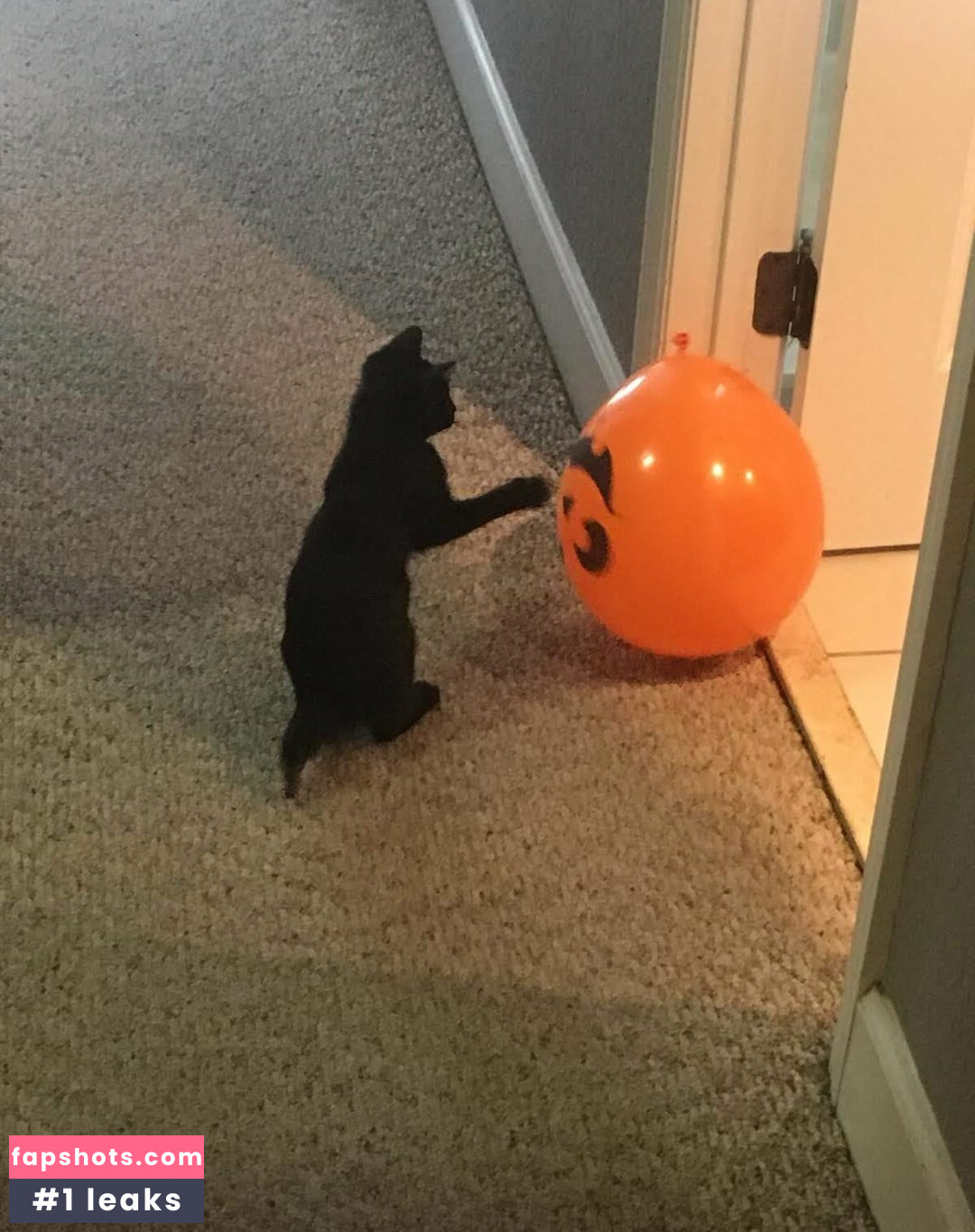 Lovebush1313 gallery photo #17