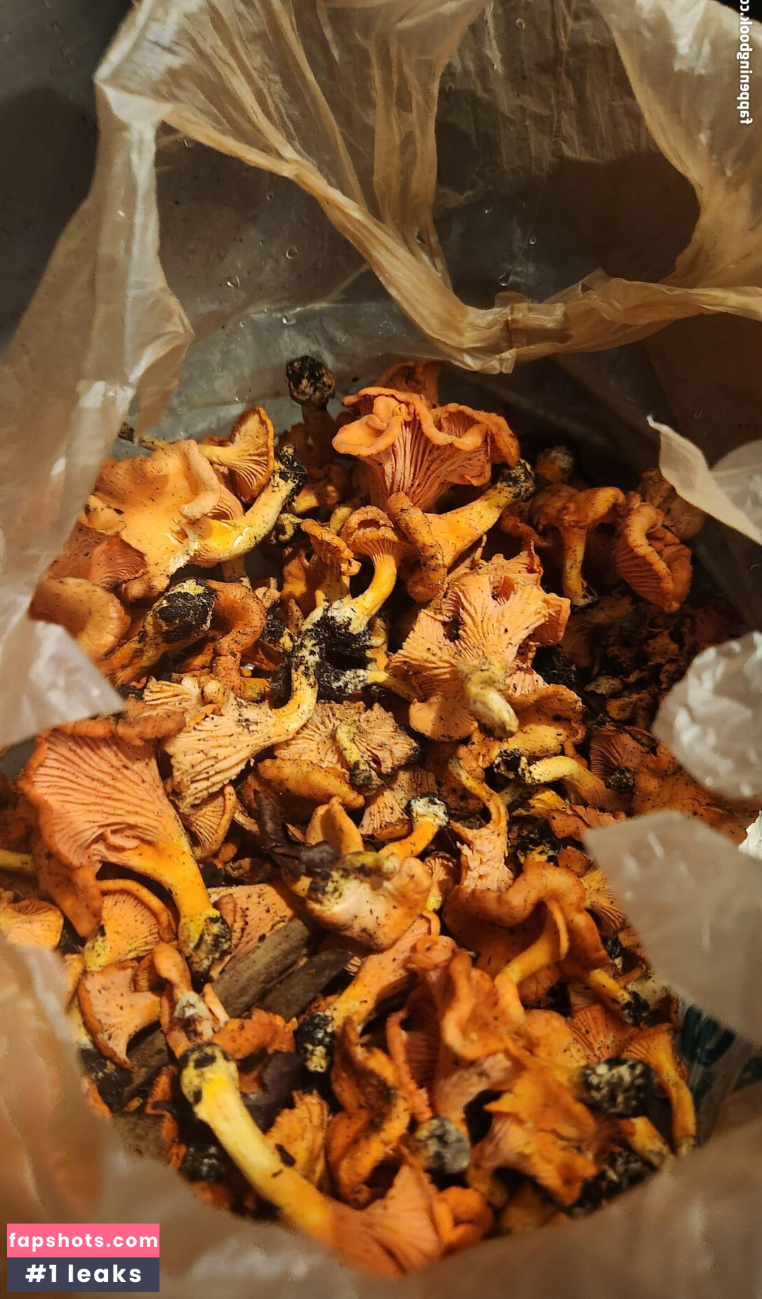 Lovebush1313 gallery photo #18