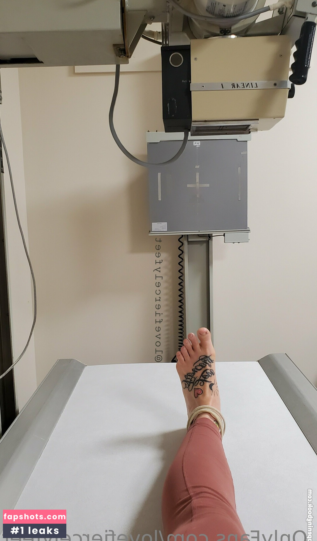 lovefiercelyfeet Nude Leaks OnlyFans Photos #7 - LeakJerk