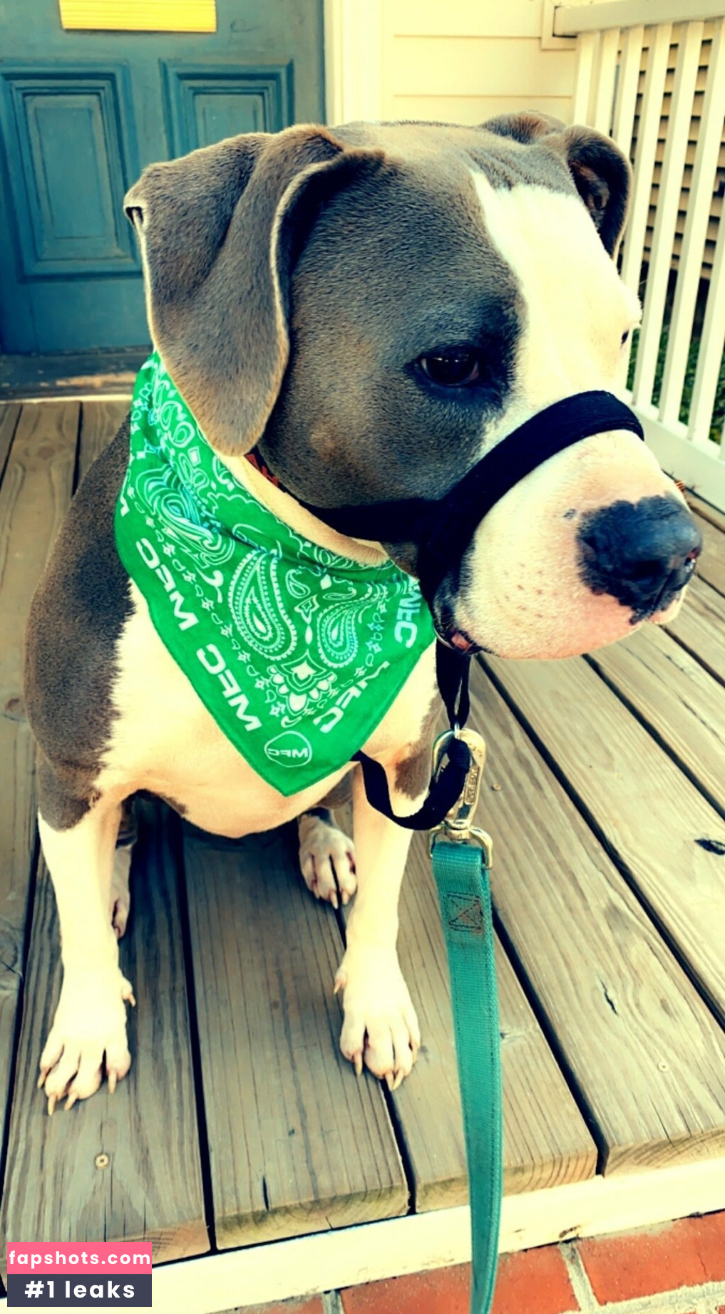 lovesickfordick Nude Leaks OnlyFans Photos #11 - LeakJerk