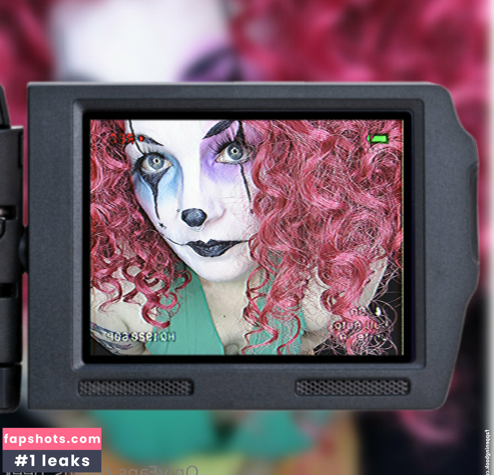 ls_peek gallery photo #2