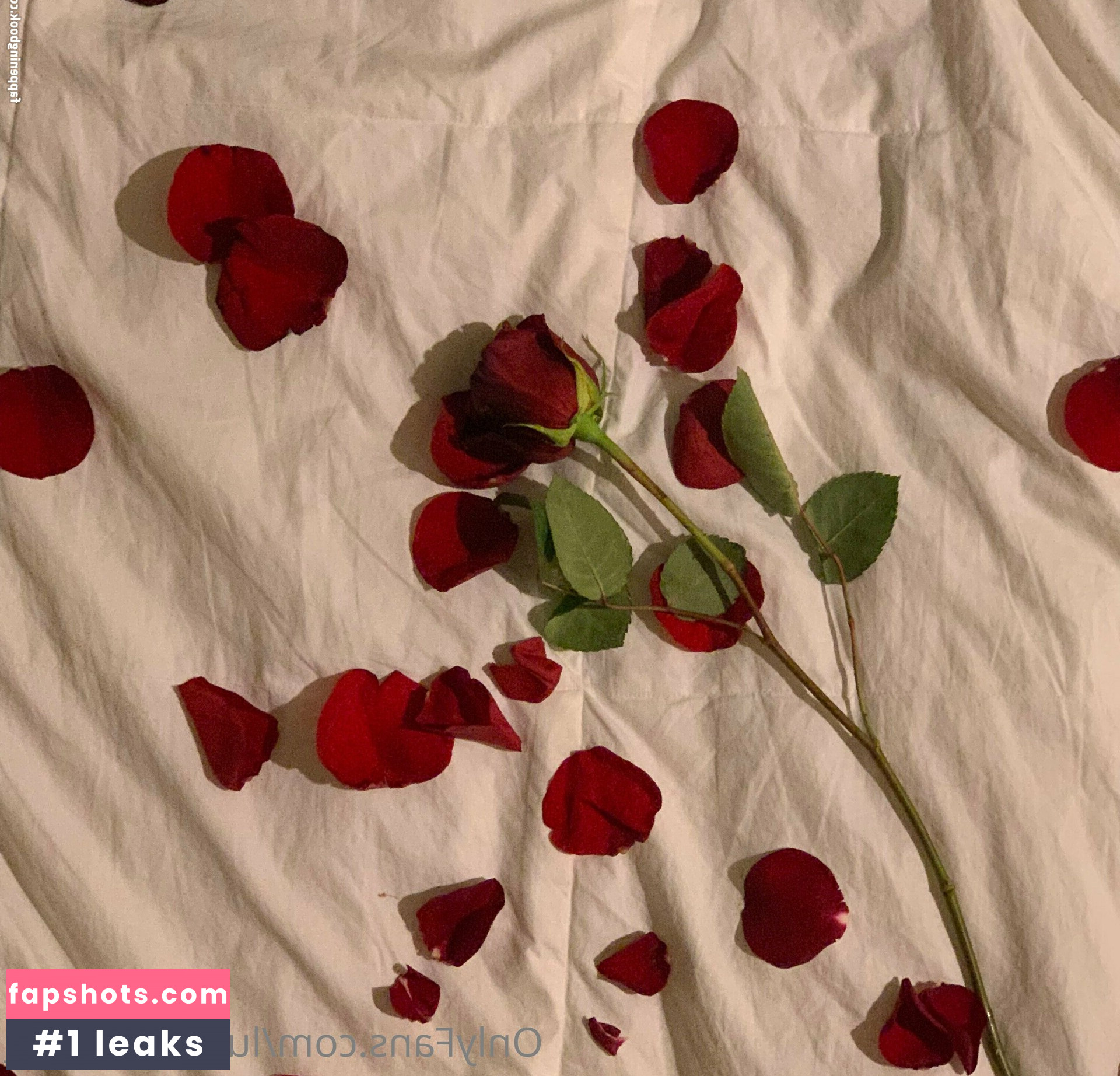 luci_celadine_ Nude Leaks OnlyFans Photos #4 - LeakJerk