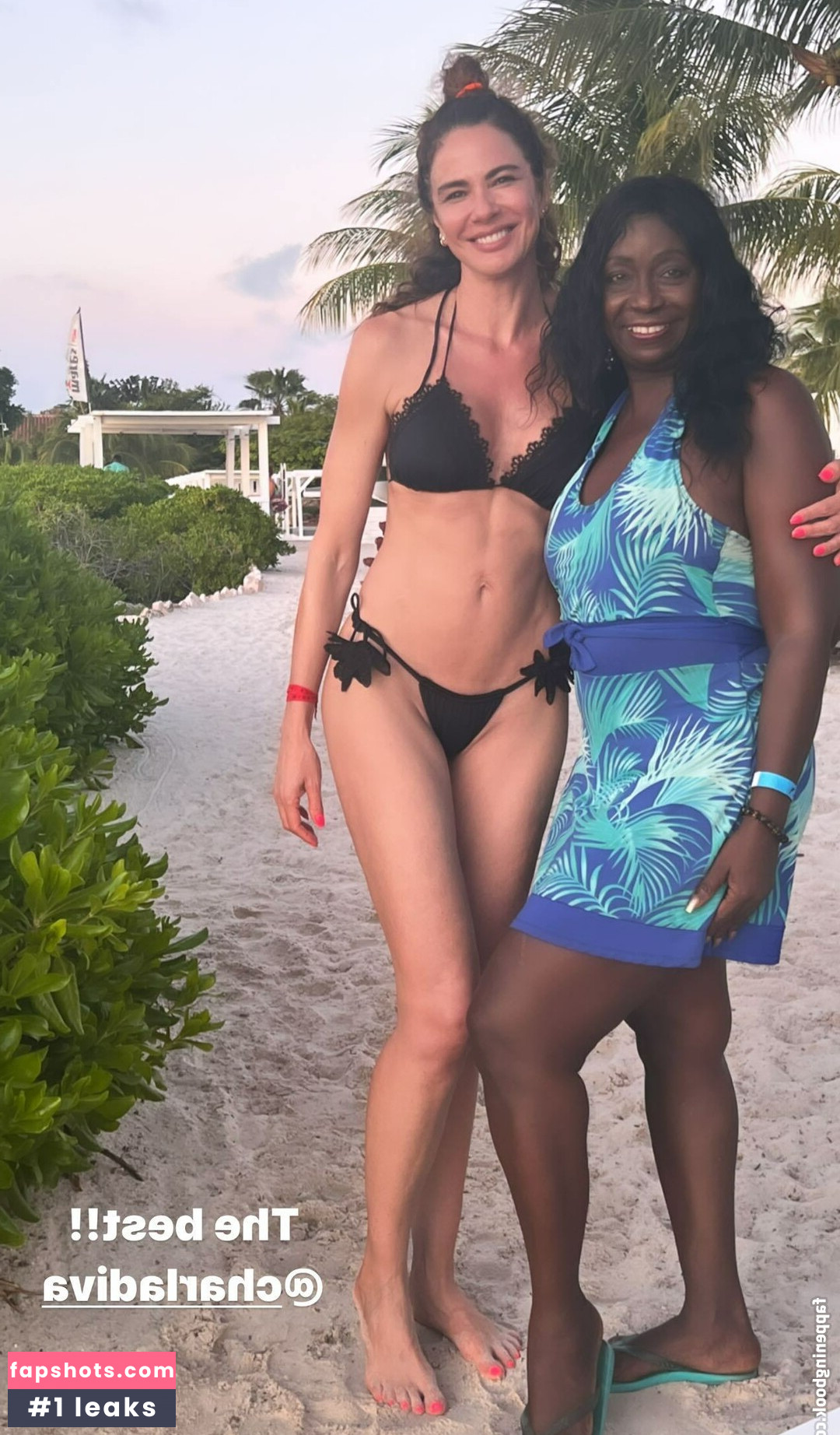 Luciana Gimenez gallery photo #135