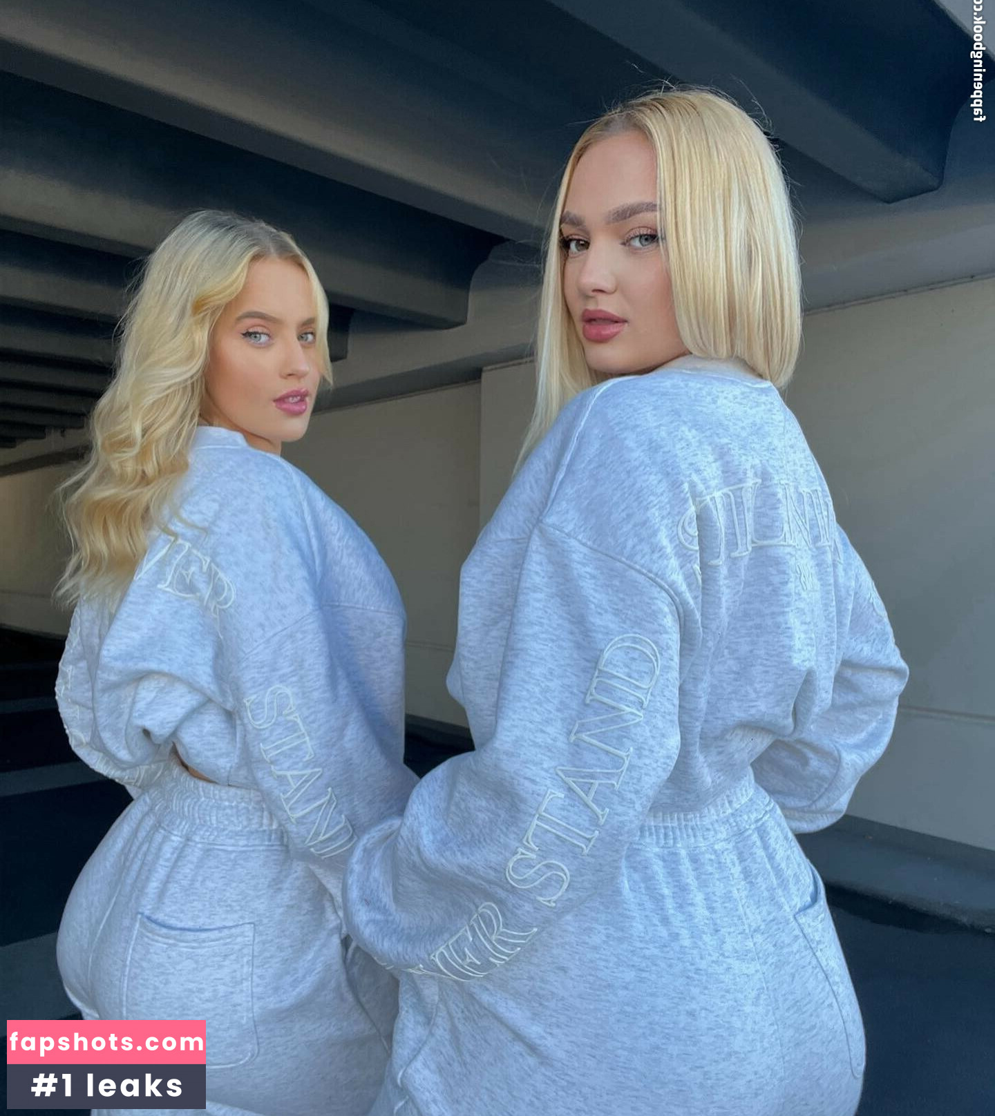 Lucycombe gallery photo #14