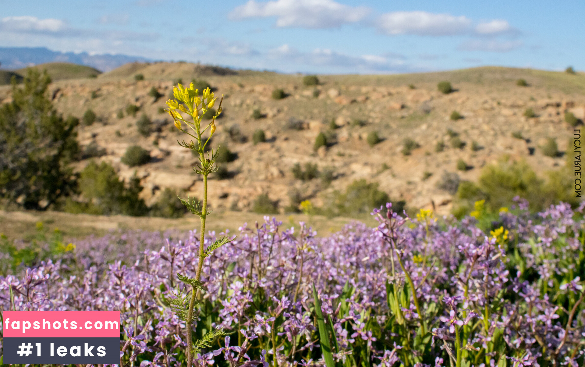 lucylarue gallery photo #32