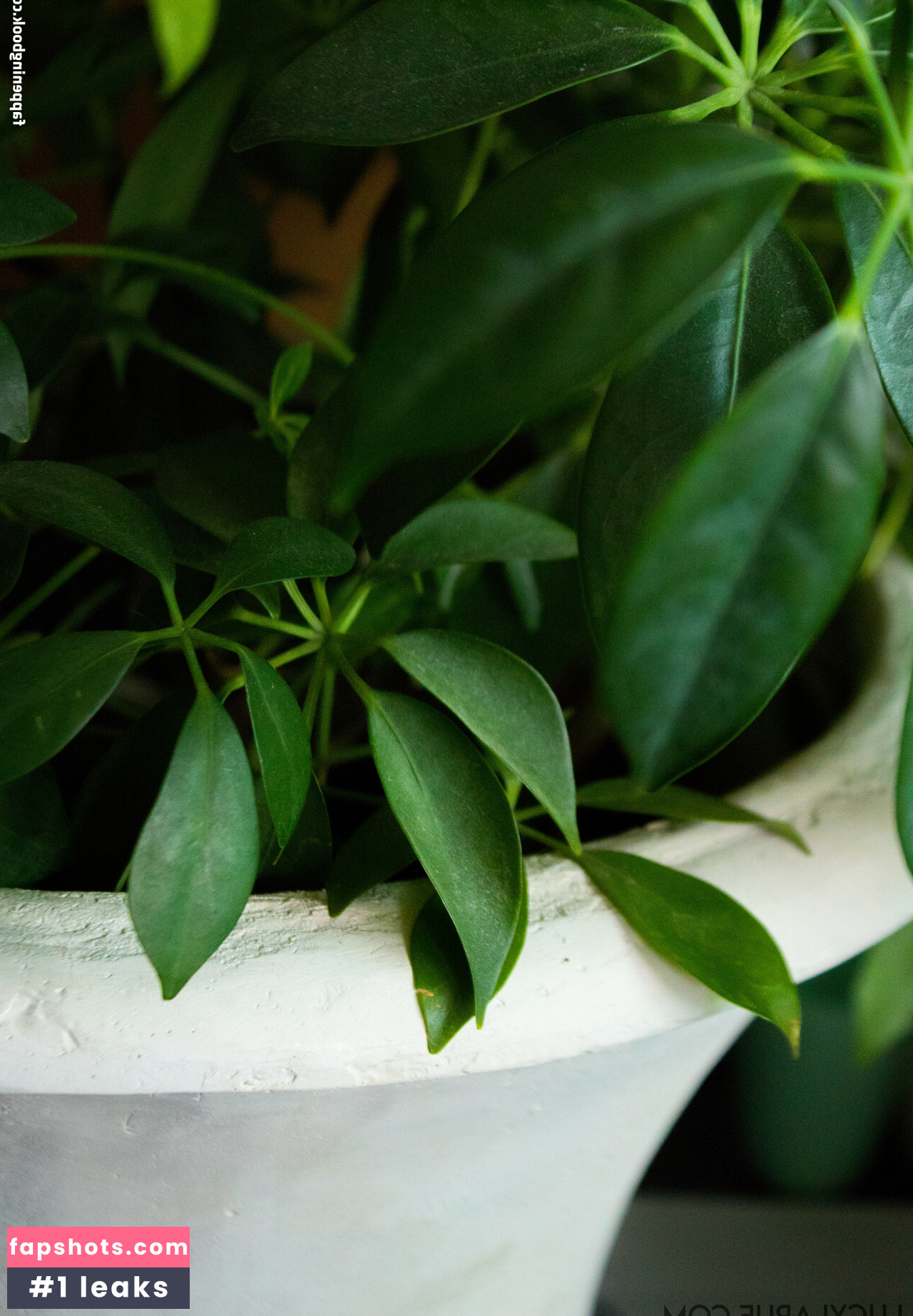 lucylarue gallery photo #36