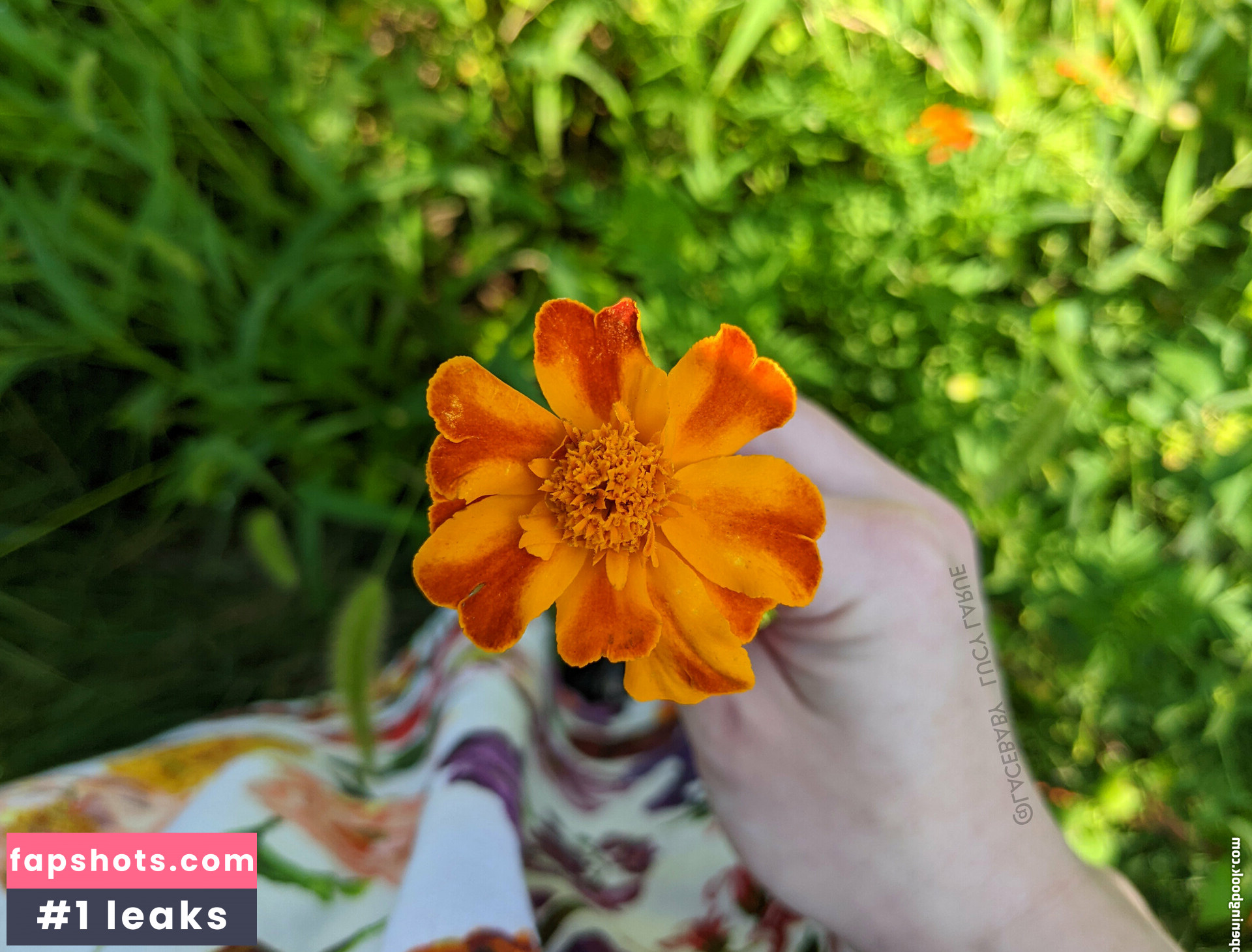 lucylarue gallery photo #41