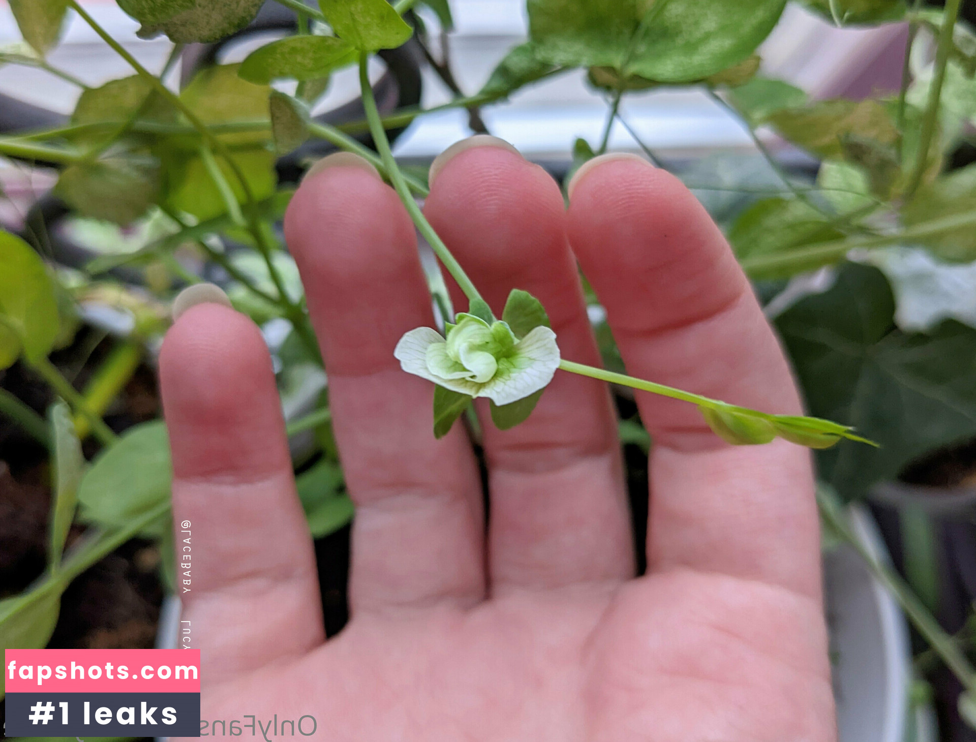 lucylarue gallery photo #67