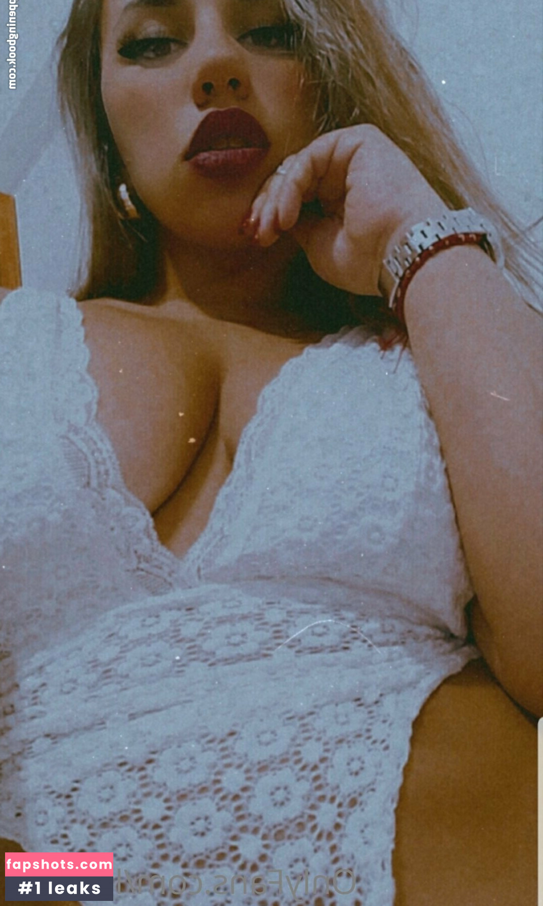 ludofox gallery photo #7