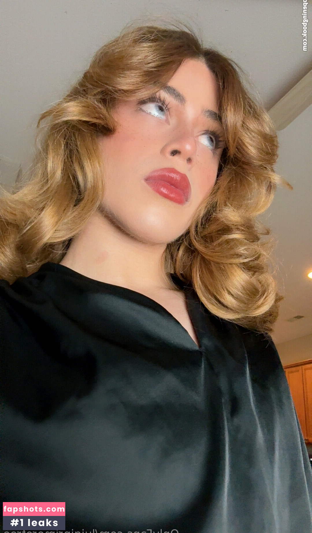 luigiprimerofree gallery photo #2