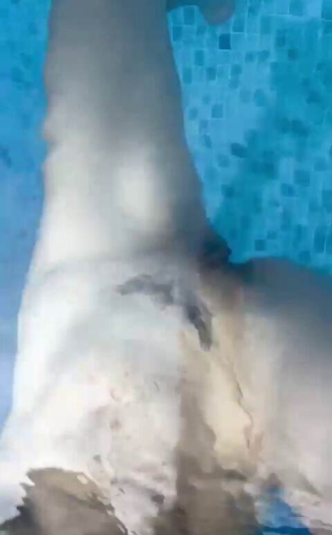 luiza-ambiel gallery photo #2056