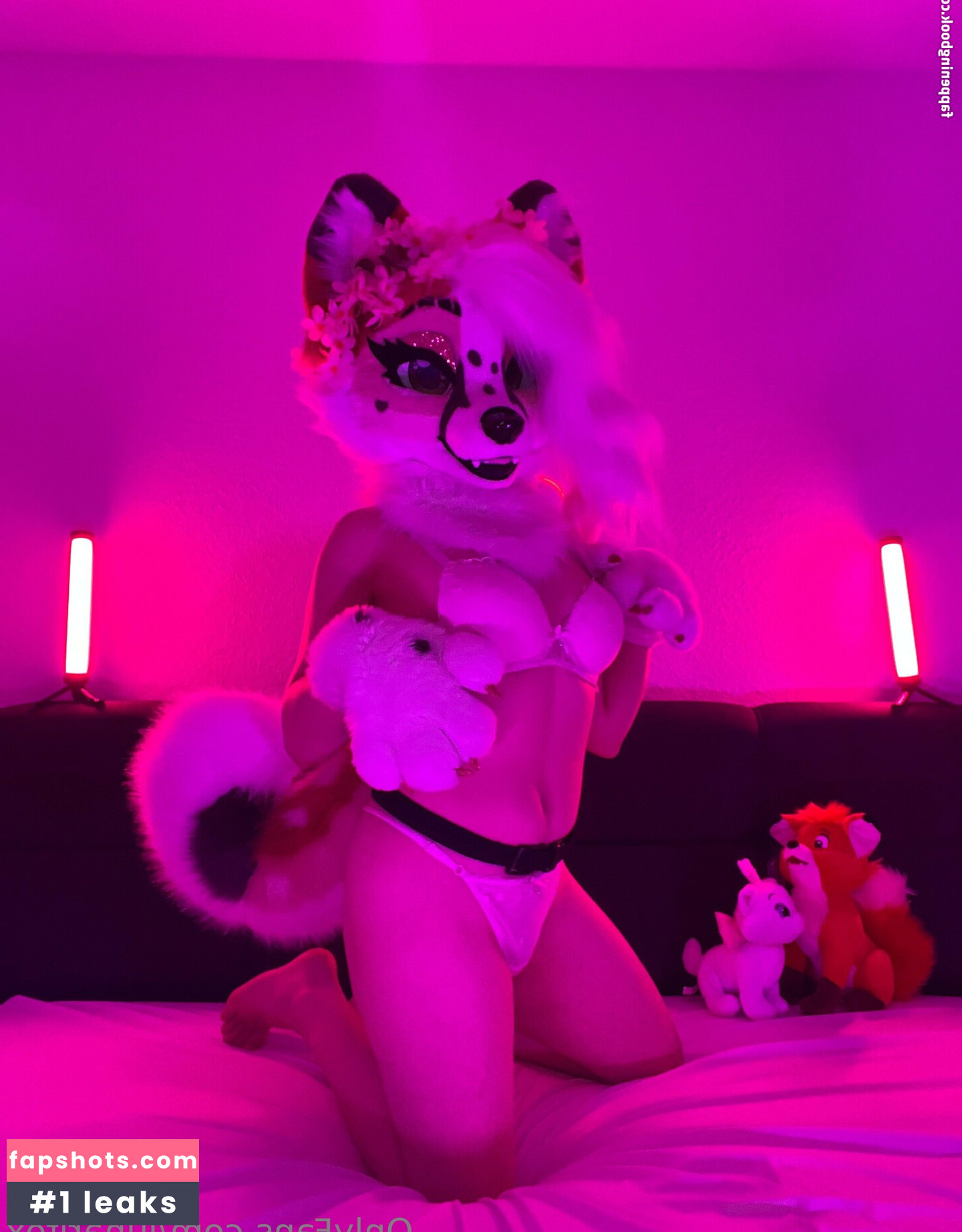 lunarifox gallery photo #18