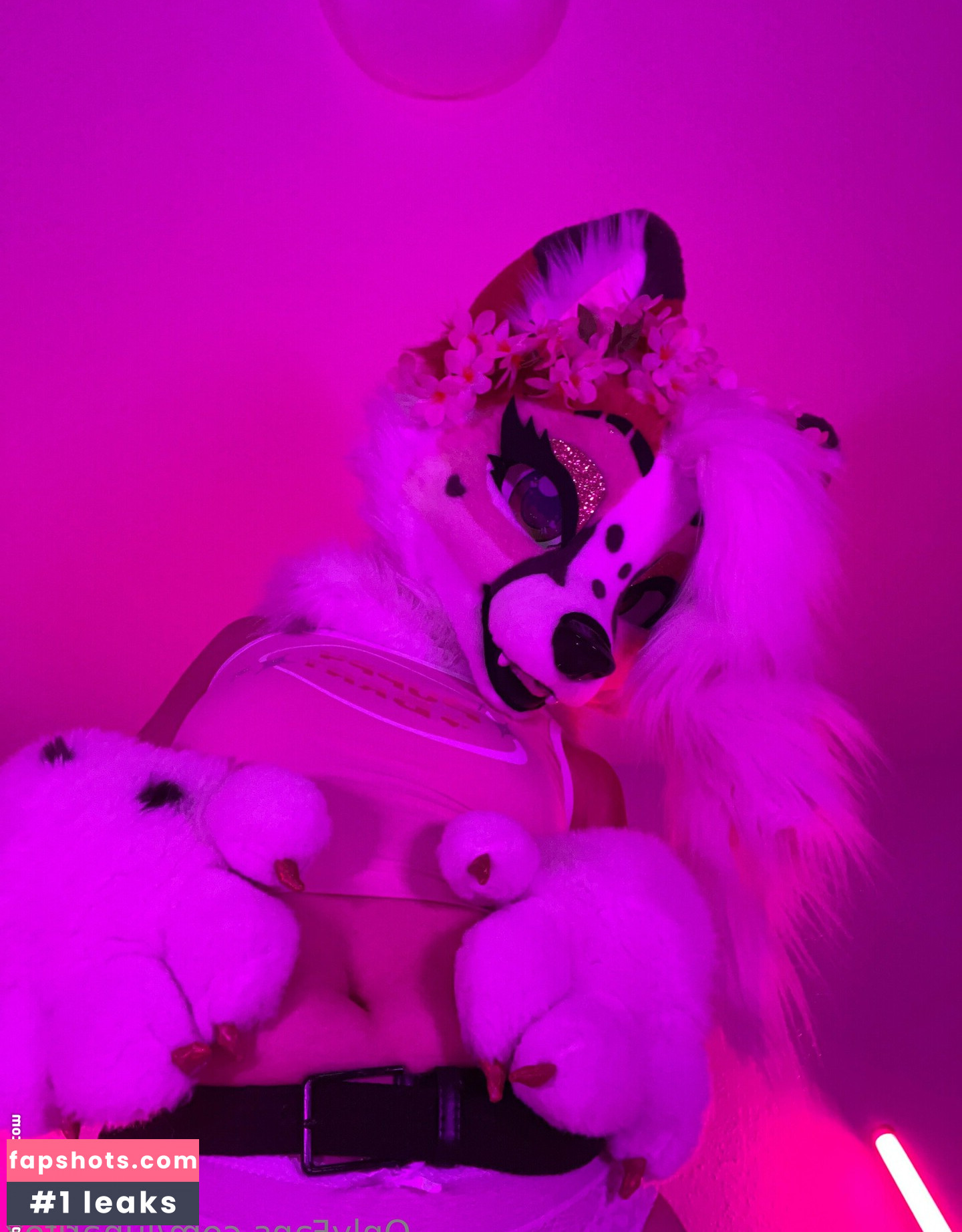 lunarifox gallery photo #19