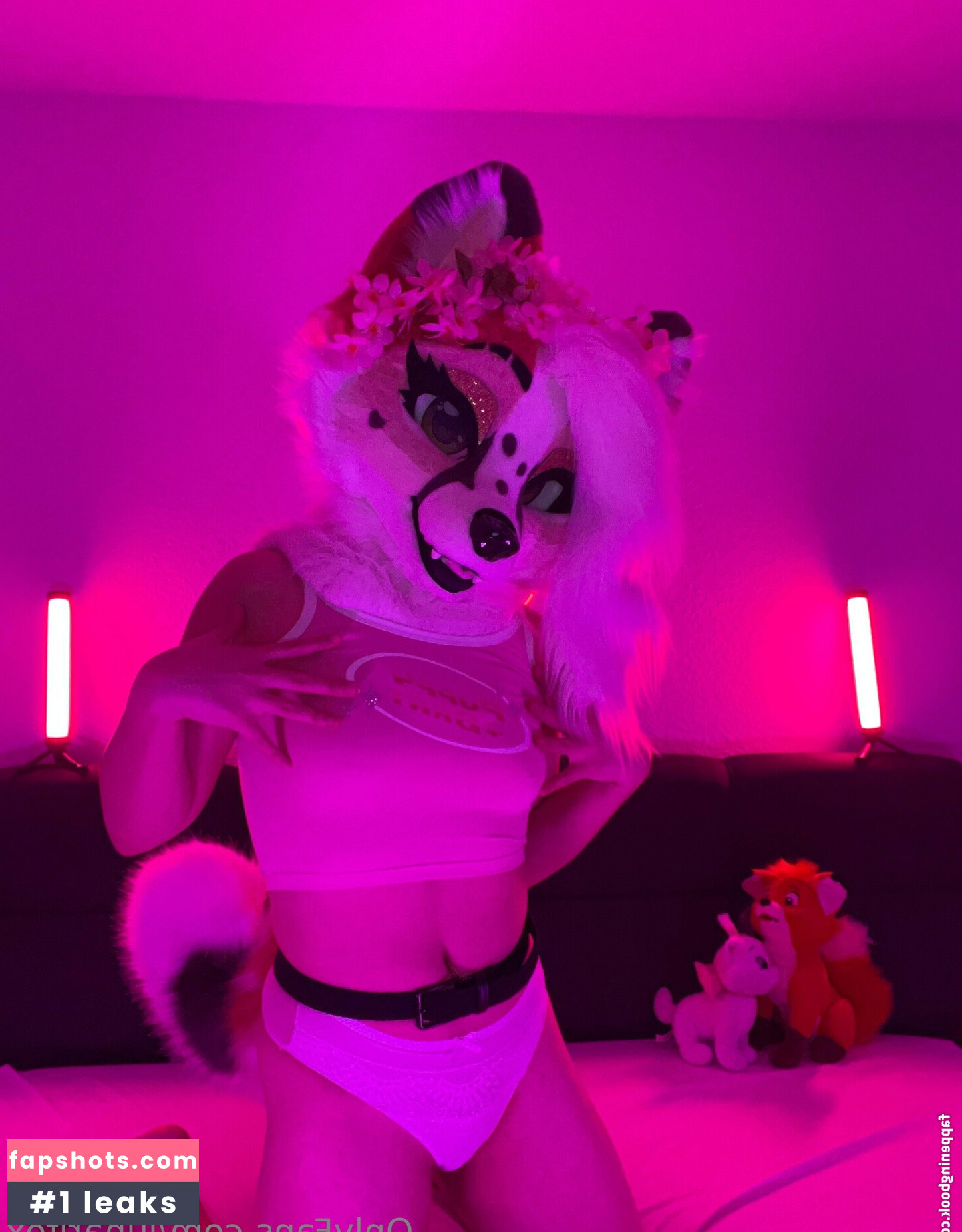 lunarifox gallery photo #20