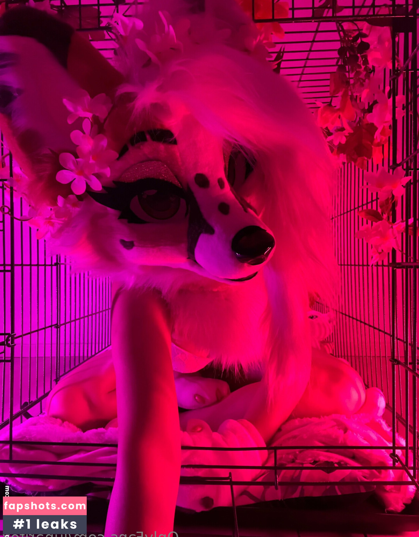 lunarifox gallery photo #21