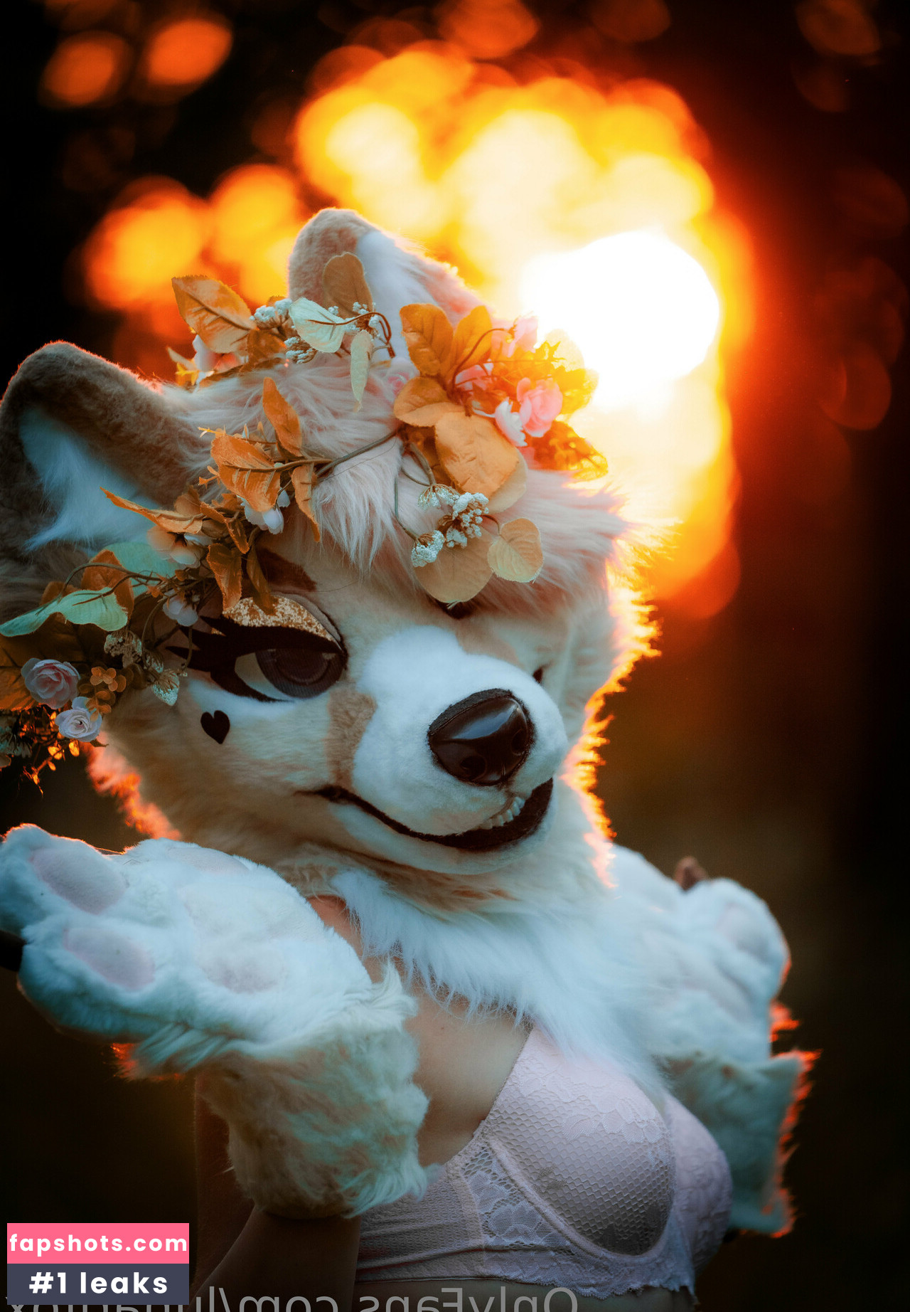 lunarifox gallery photo #22