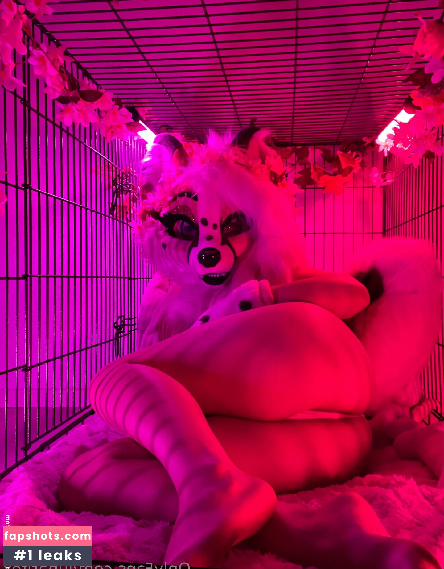 lunarifox gallery photo #26