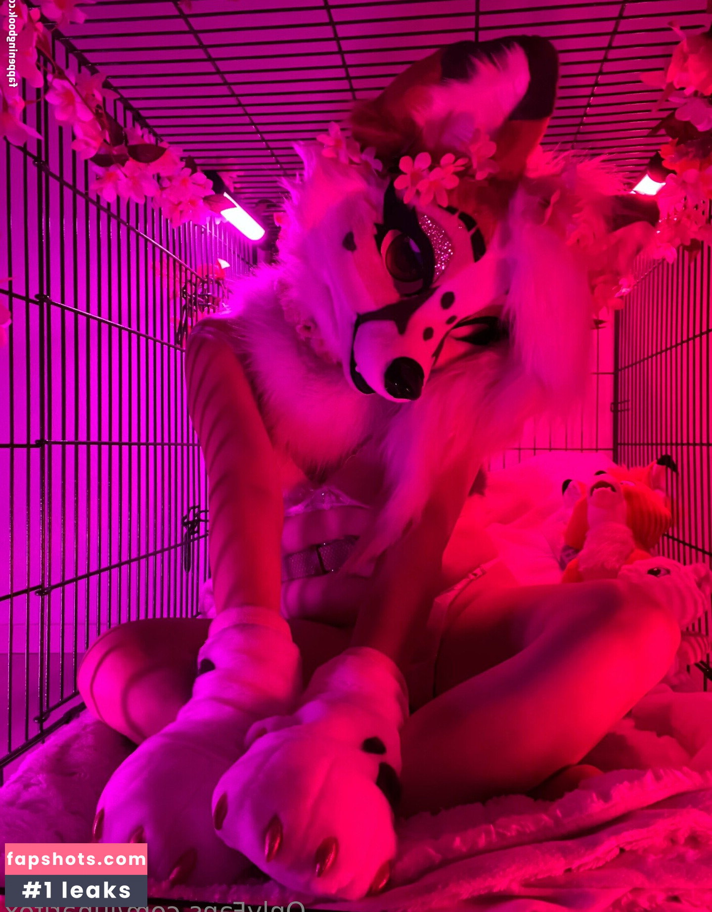 lunarifox gallery photo #6