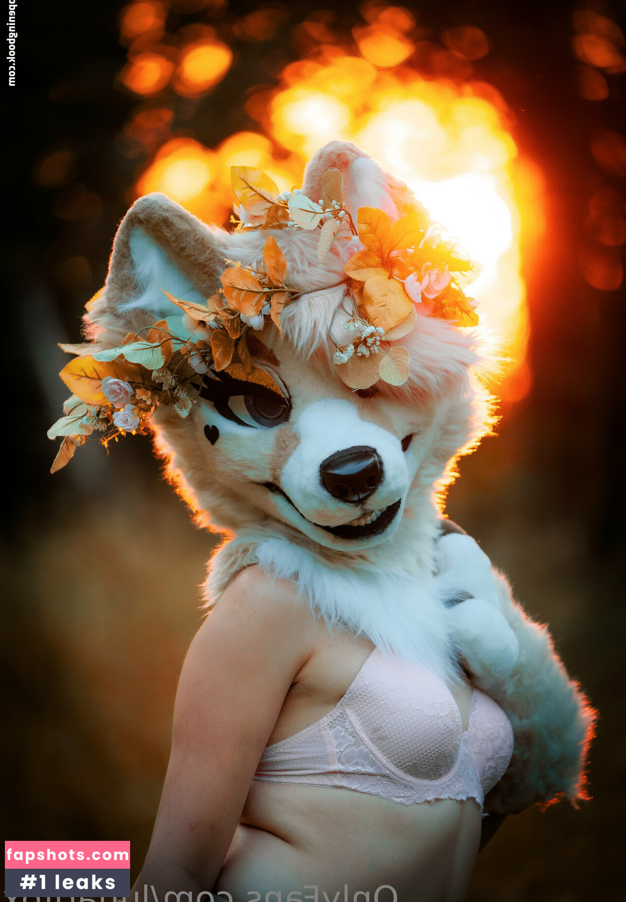 lunarifox gallery photo #9