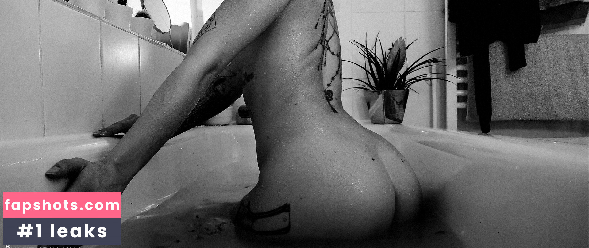 luu_nighthawk gallery photo #6