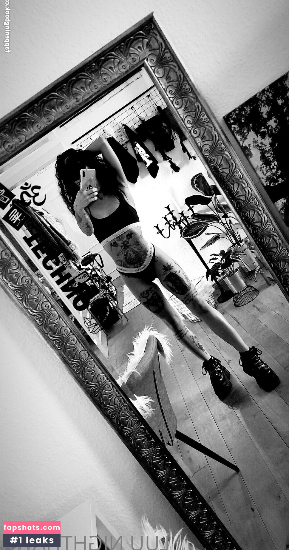 luu_nighthawk gallery photo #8