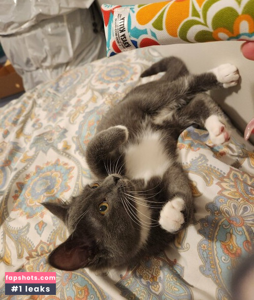 Luxlo gallery photo #5860