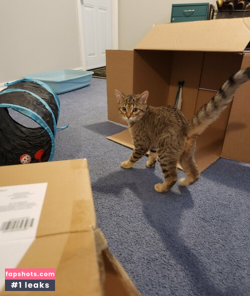 Luxlo gallery photo #5865