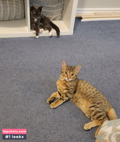 Luxlo gallery photo #5866