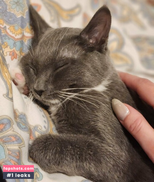 Luxlo gallery photo #5867