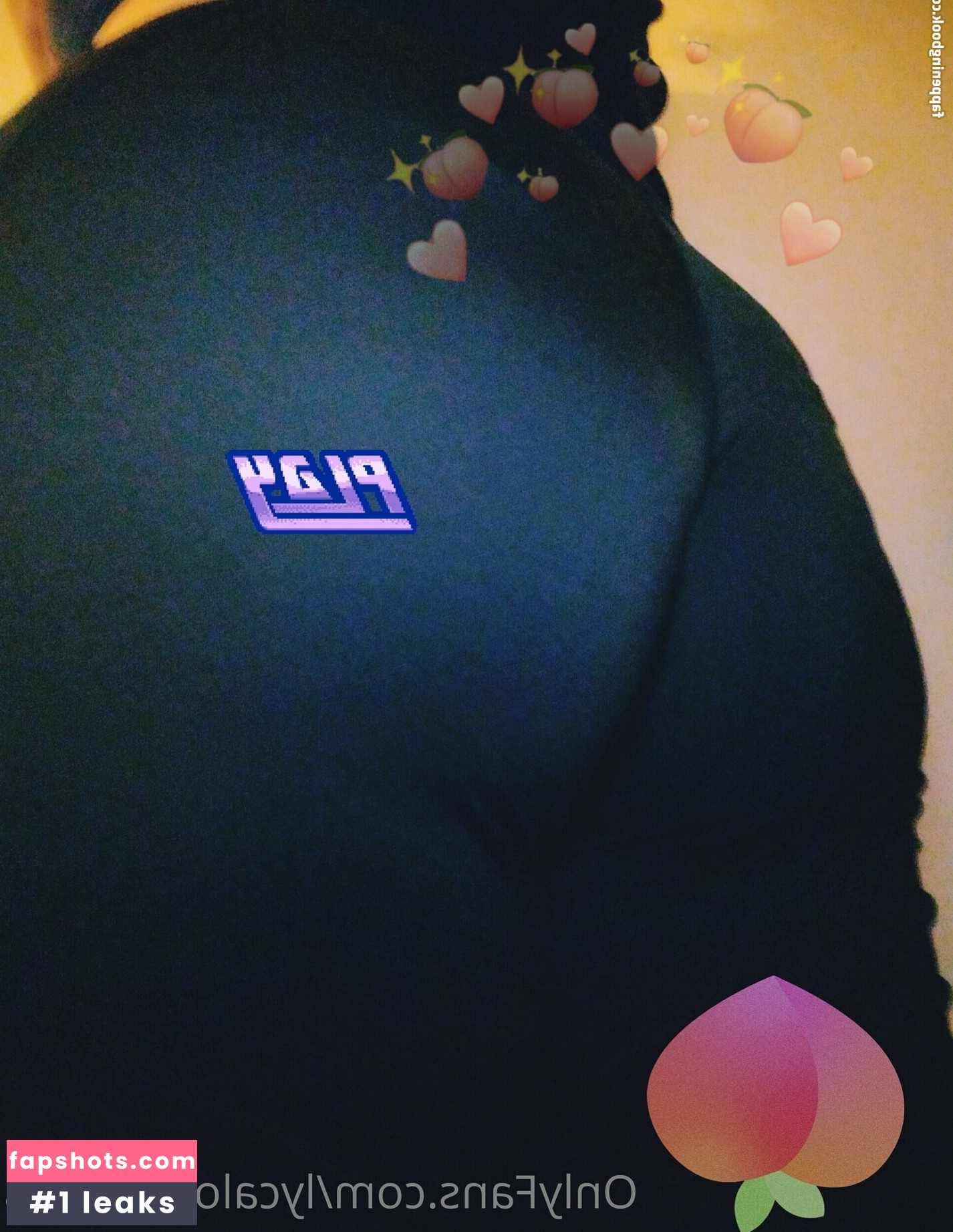 lycalopex.ignis gallery photo #7