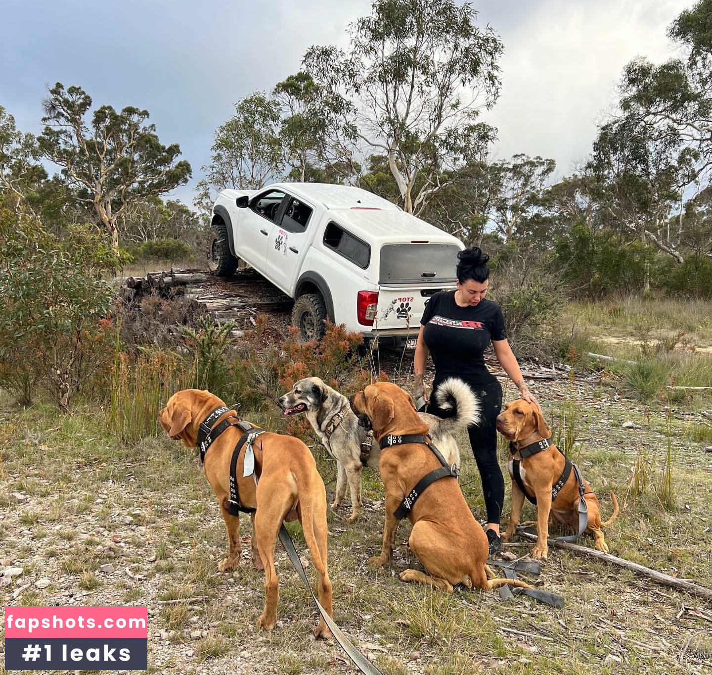 lydiarotary gallery photo #4